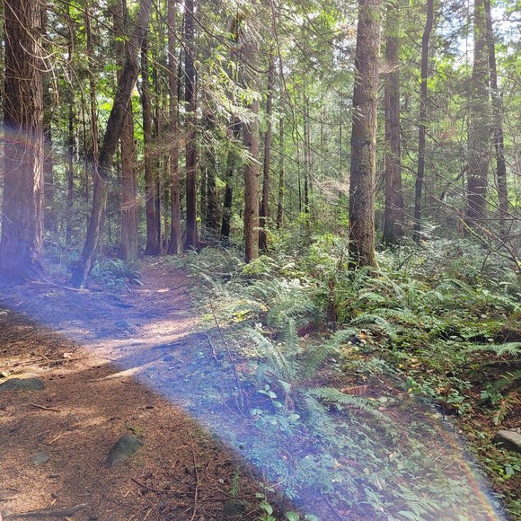 Meet your Posher, Sarah - Picture 1 of 1